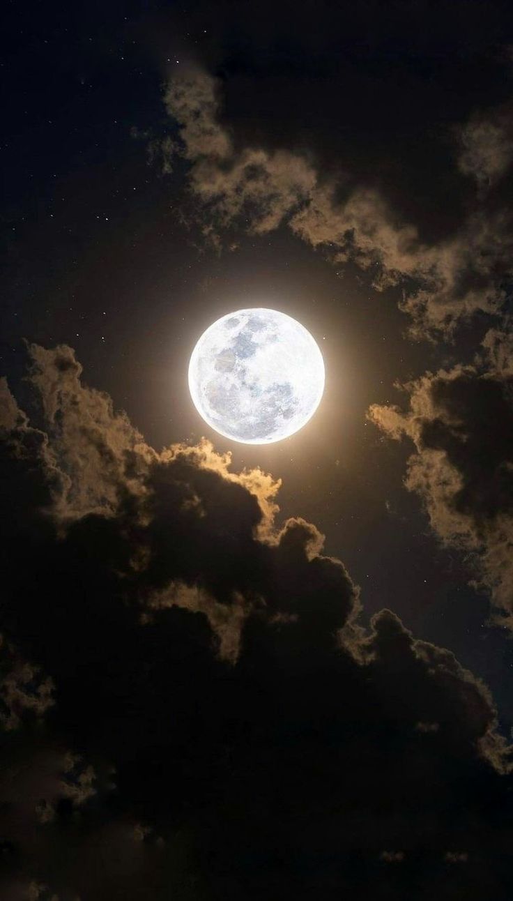 Full Moon or New Moon Reading